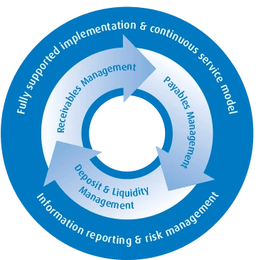 Fully supported implementation and continuous service model