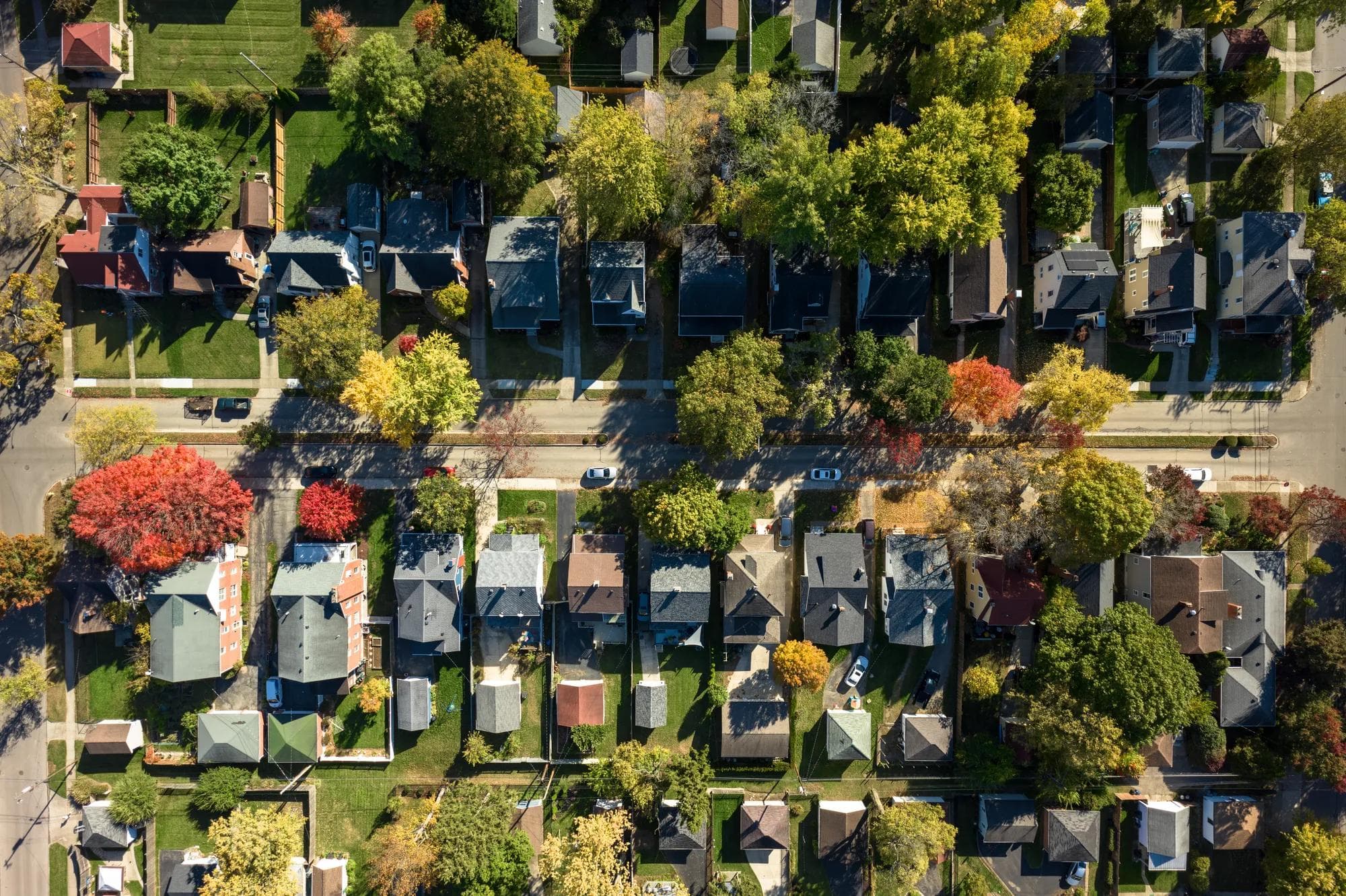 Homes