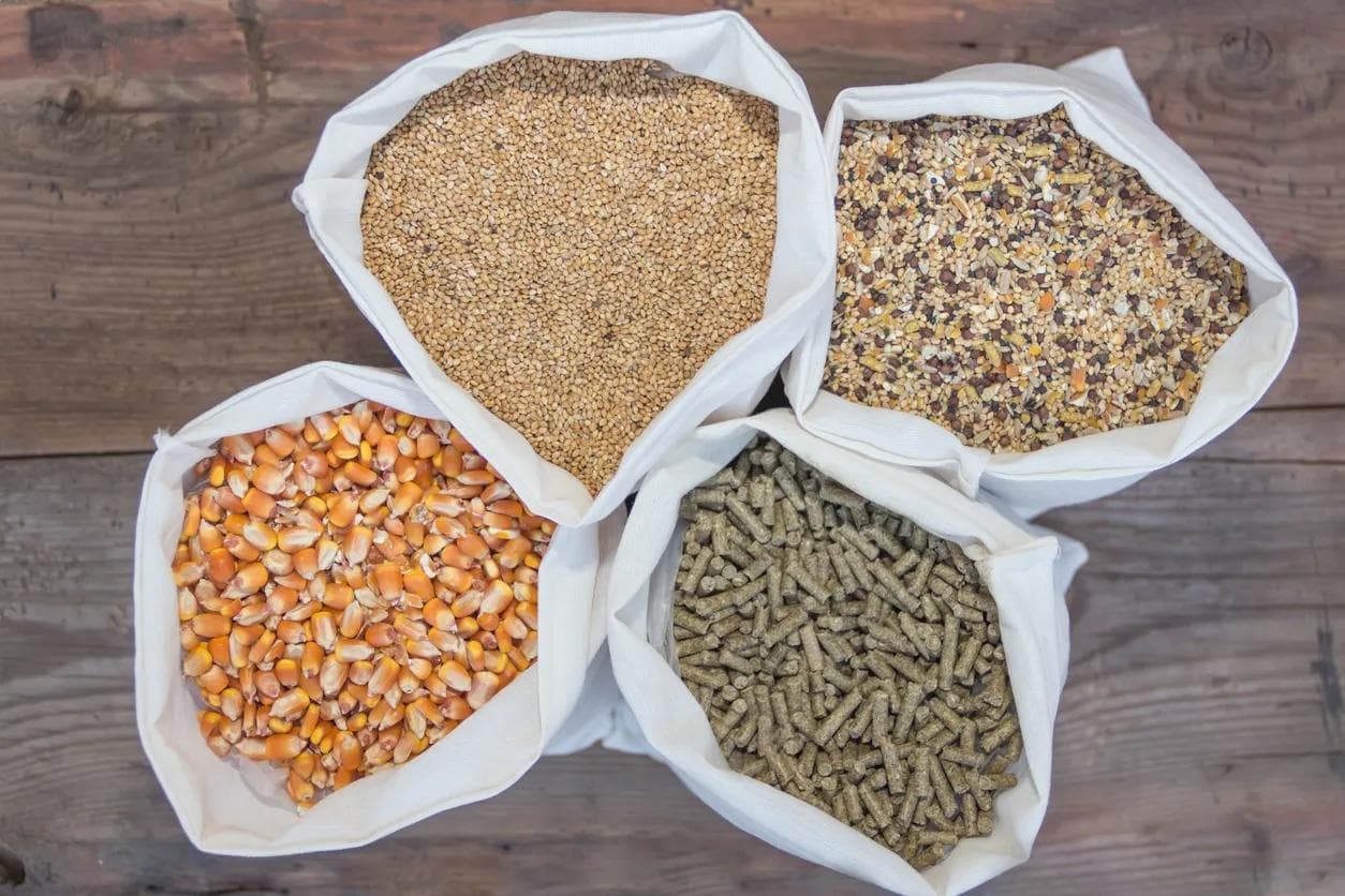 Overhead view of bags with grains and pellets for sale at the forage