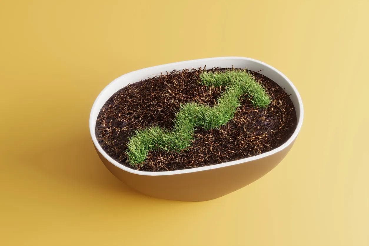 Growing grass in chart formation