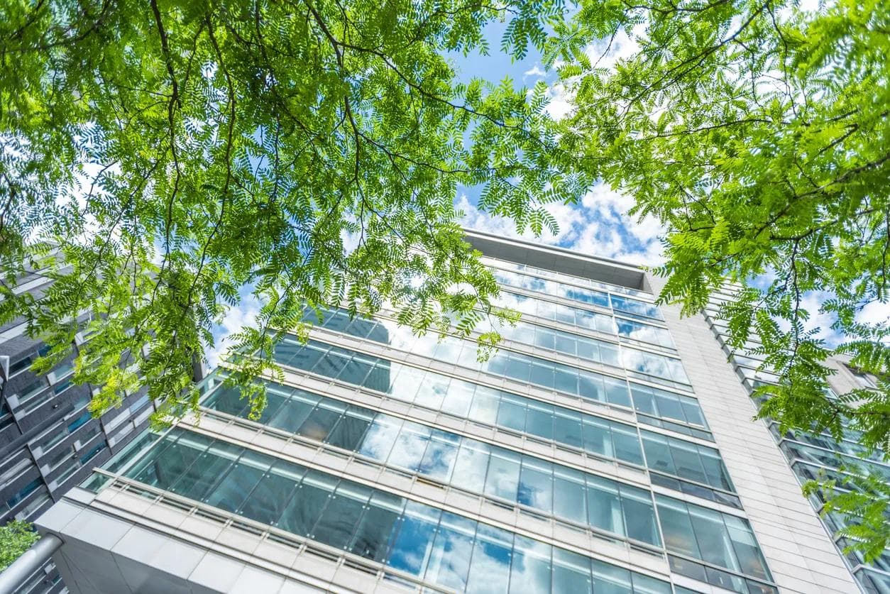Office buildings seen in the background behind trees on a sunny day. 
