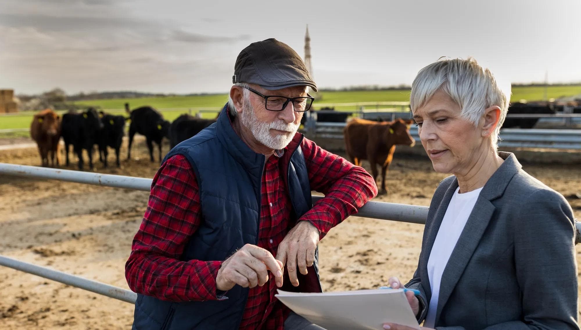 Farmer and business woman on cow farm stock photo