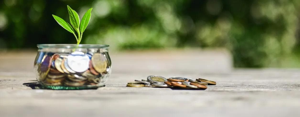 Jar with coins & small plant
