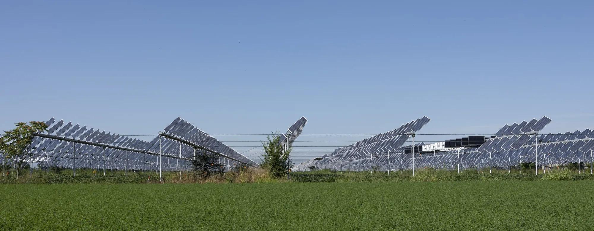 A solar photovoltaic system positioned above land used for agriculture. 