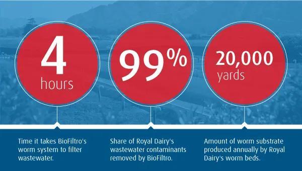 4 hours: time it takes BioFiltero's worm system to filter wastewater. 99%: share of Royal Dairy's wasterwate contaminants removed by BioFiltro. 20,000 yards: amount of worm substrate produced annually by Royal Dairy's worm beds.