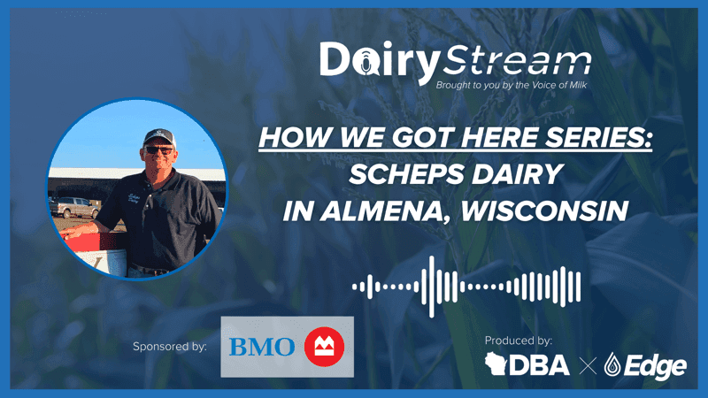 Scheps Dairy, Almena, Wisconsin