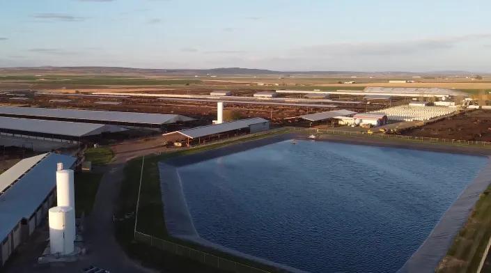 At Royal Dairy, liquid manure lagoons have become irrigation ponds.
