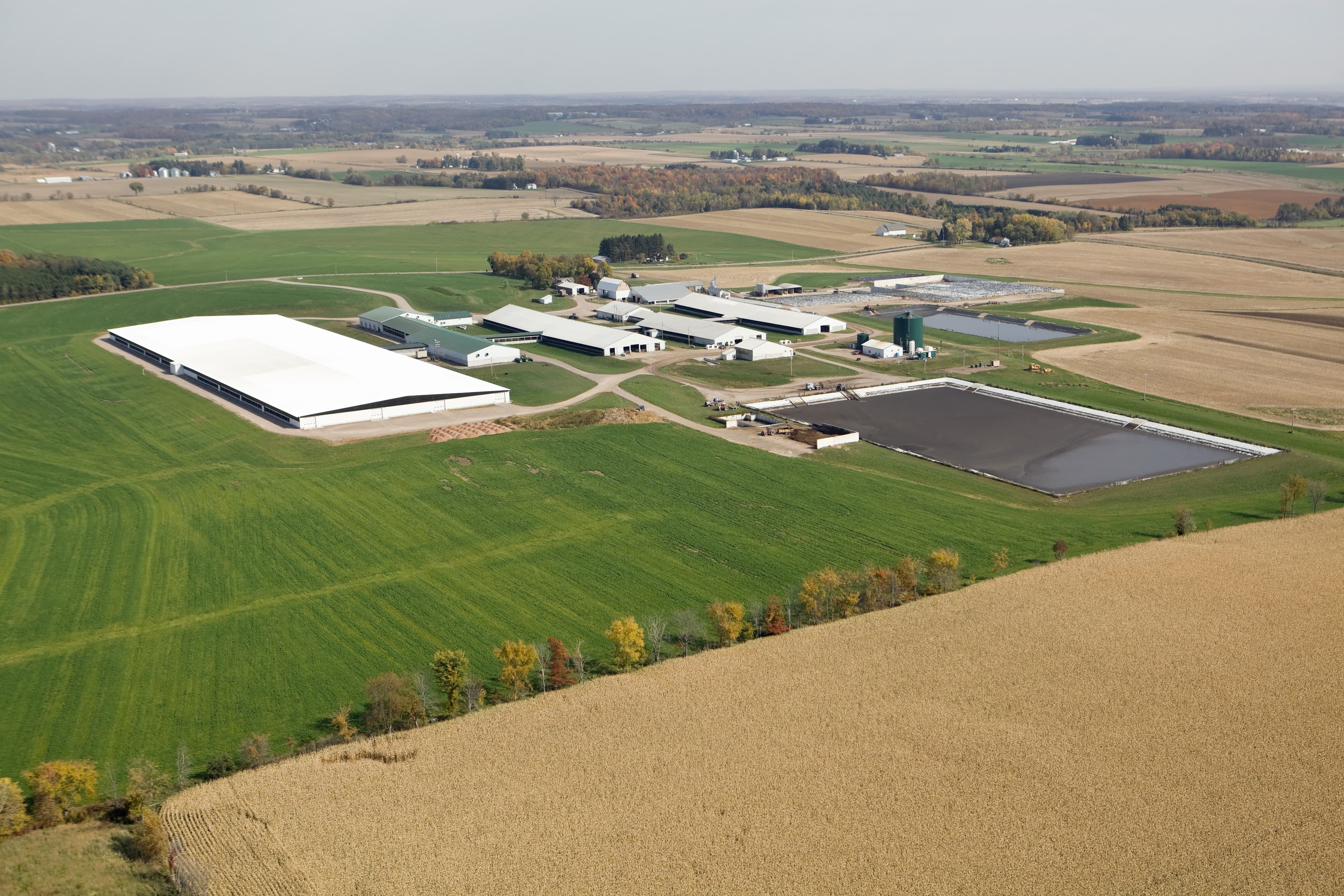 Dairy farm