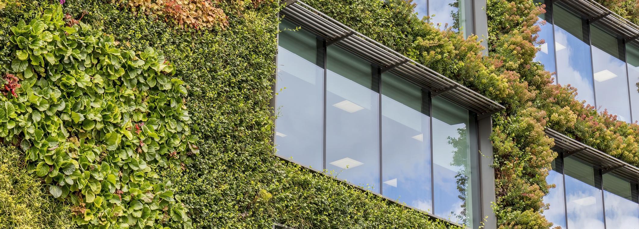 Building for Tomorrow: Real Estate, Construction, and Sustainability