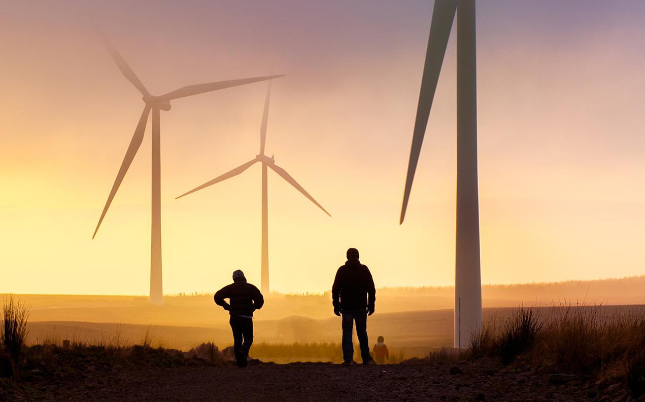 Sustainability Leaders