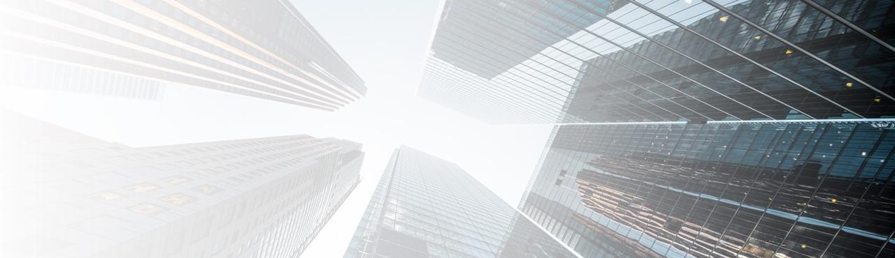 Subordinated Debt-Equity
