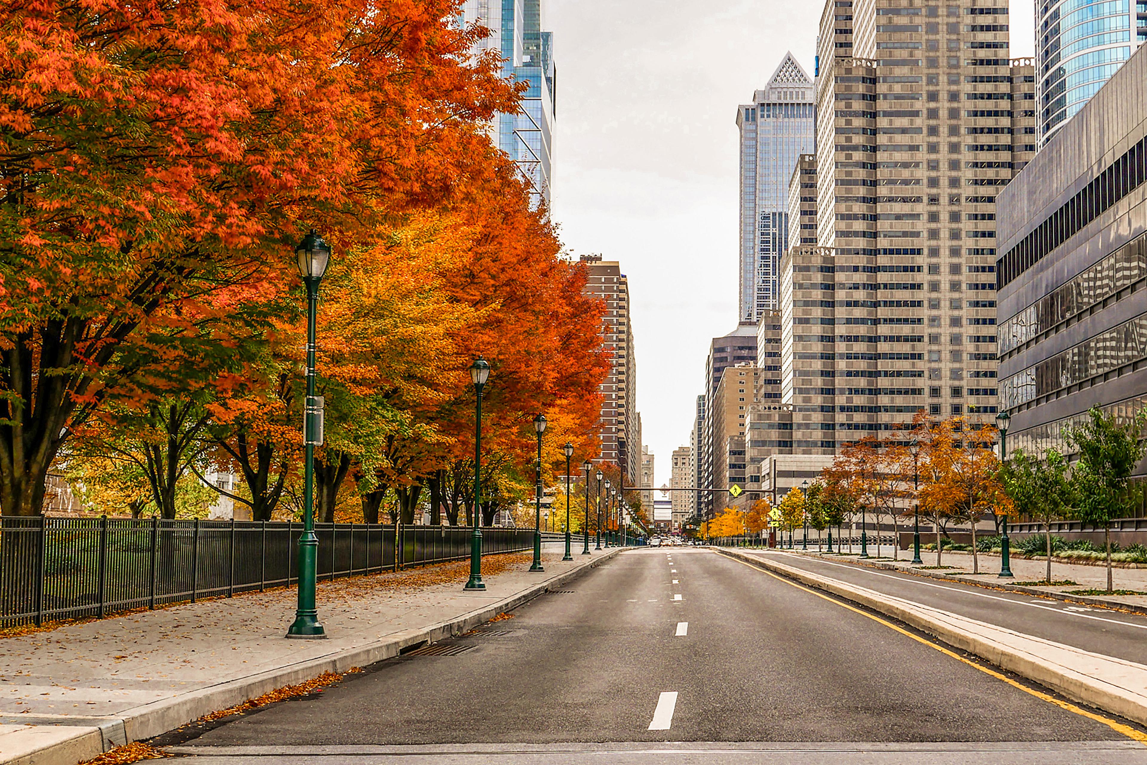 Road with City view with autumn colored trees.