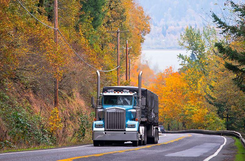 Blue truck