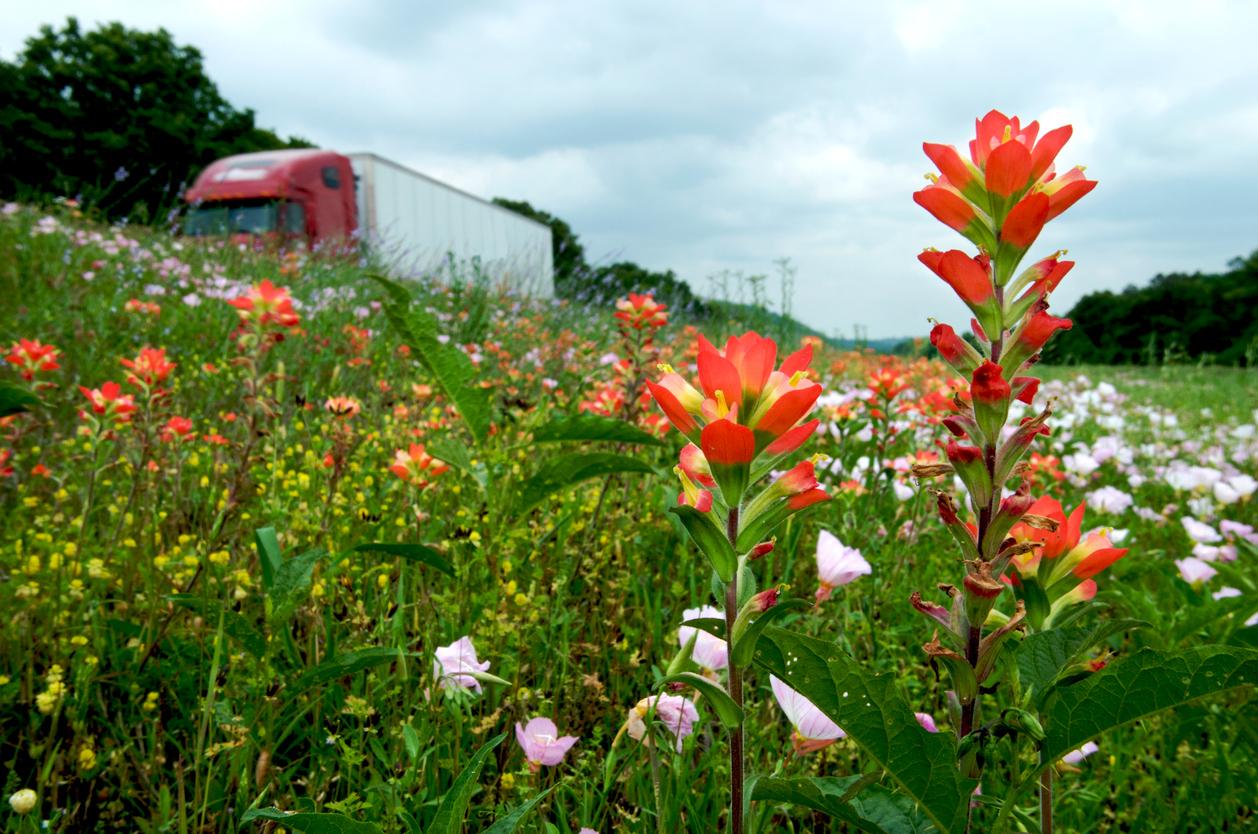 truck in spring