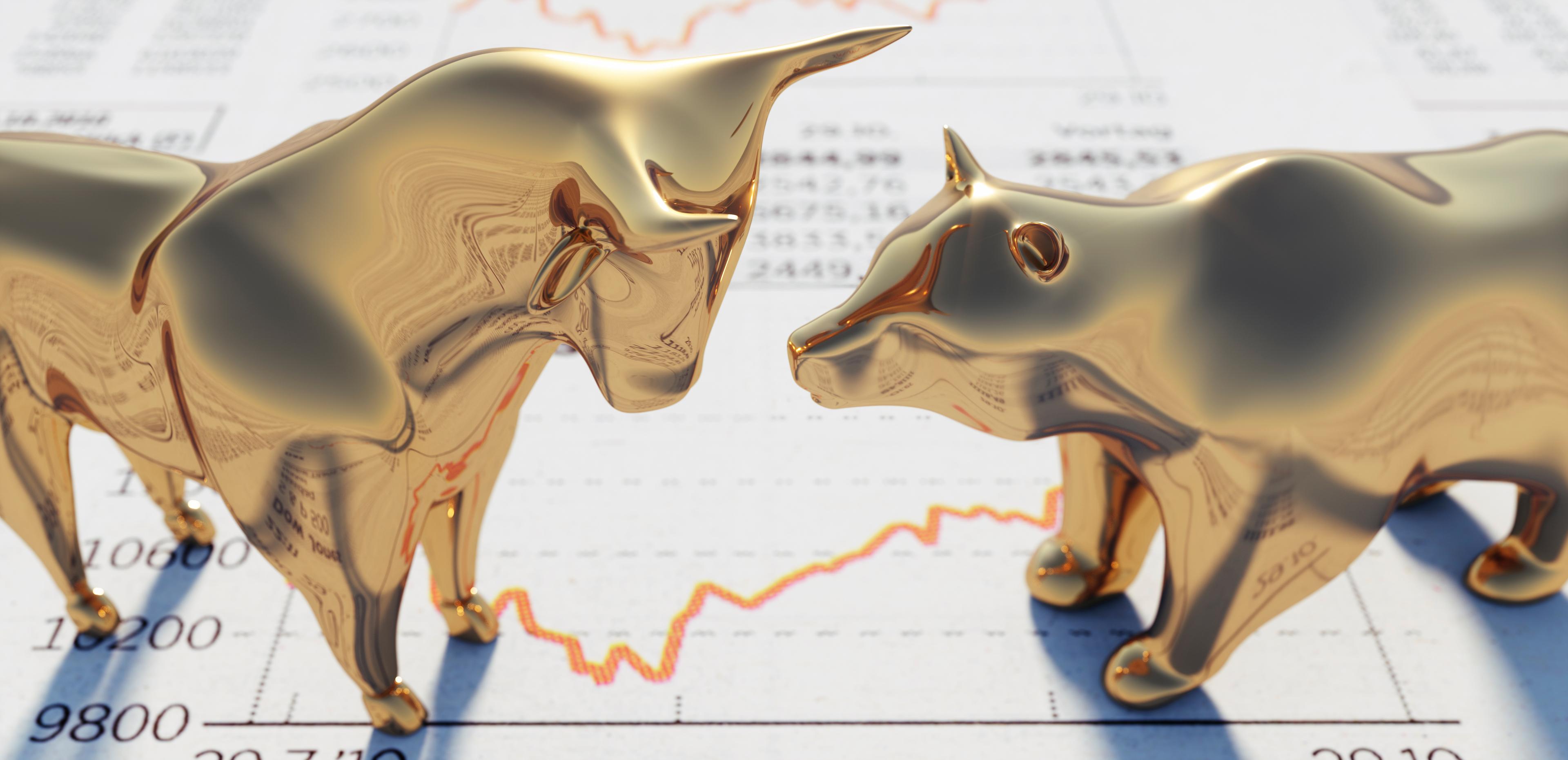 Bull and Bear on Financial Newspaper
