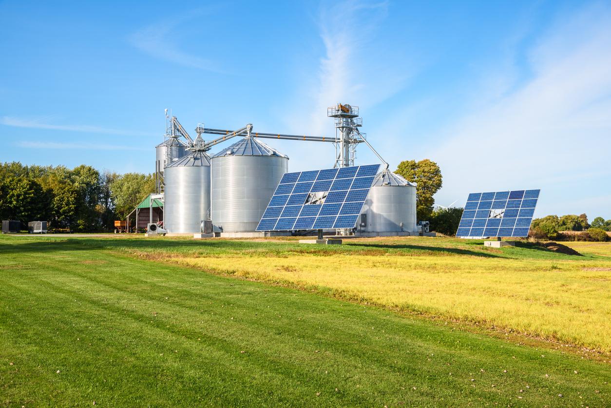 Solar Panels for Electricity Generation on a Farm on an Autumn Day