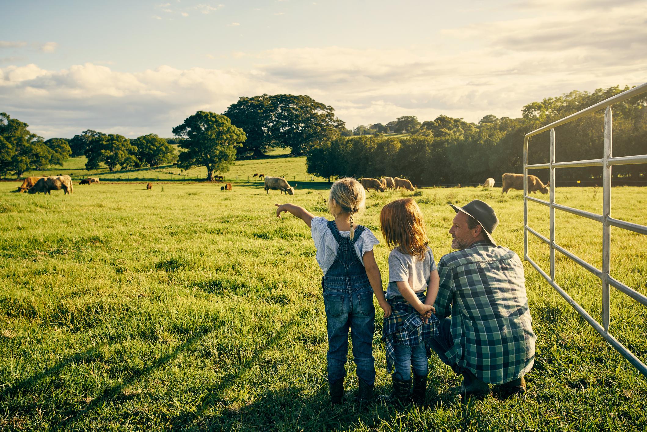 family looking at cows on a ranch