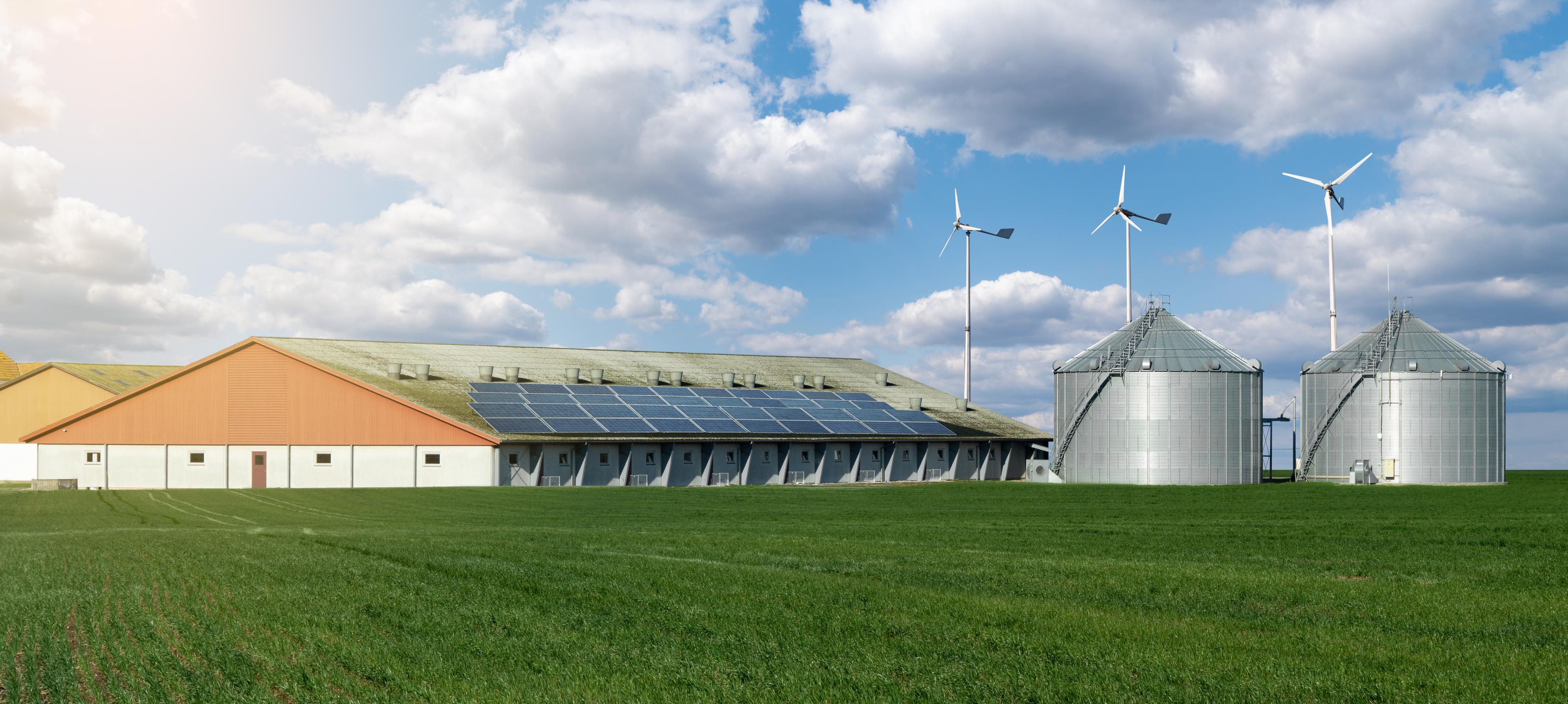 Modern dairy farm using renewable energy