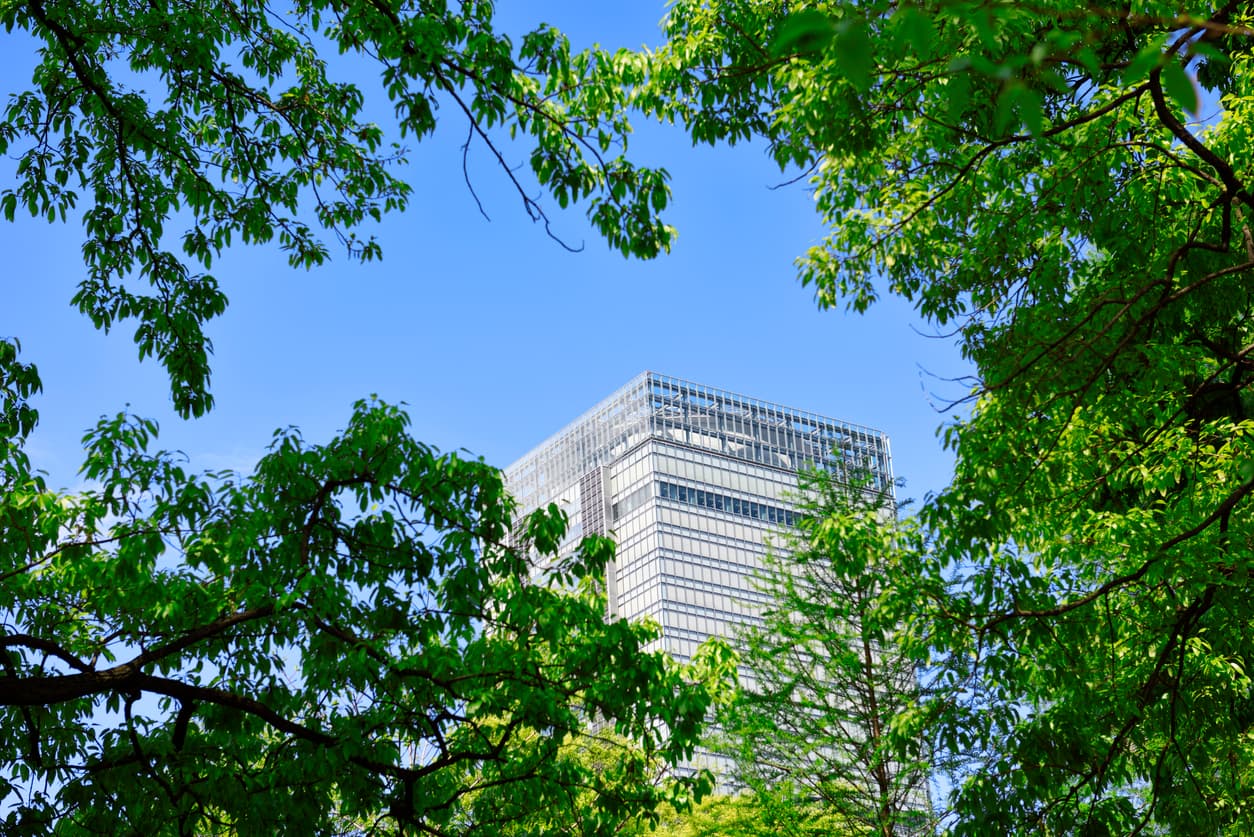net-zero construction