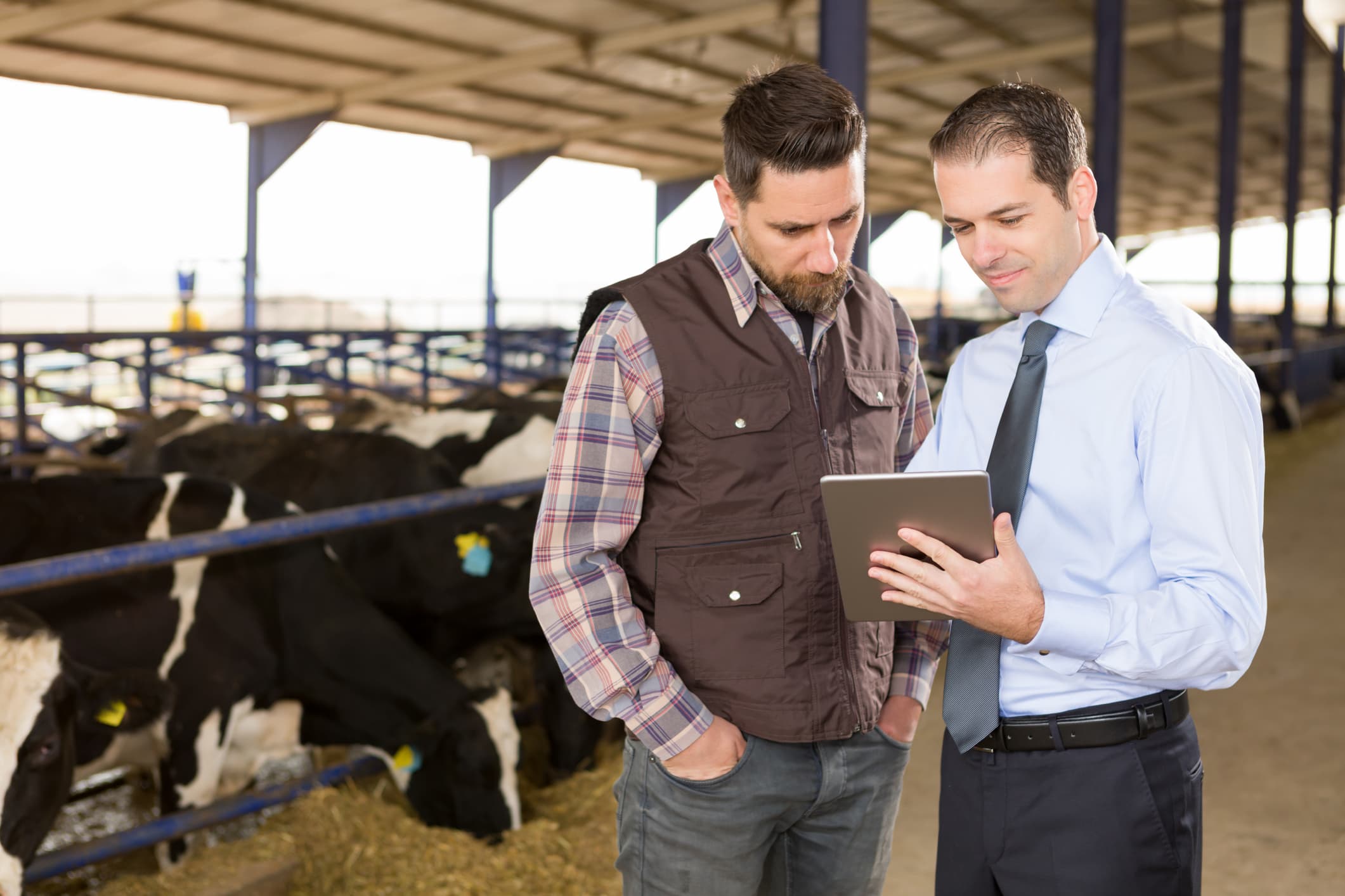 Dairy farmer & financial advisor