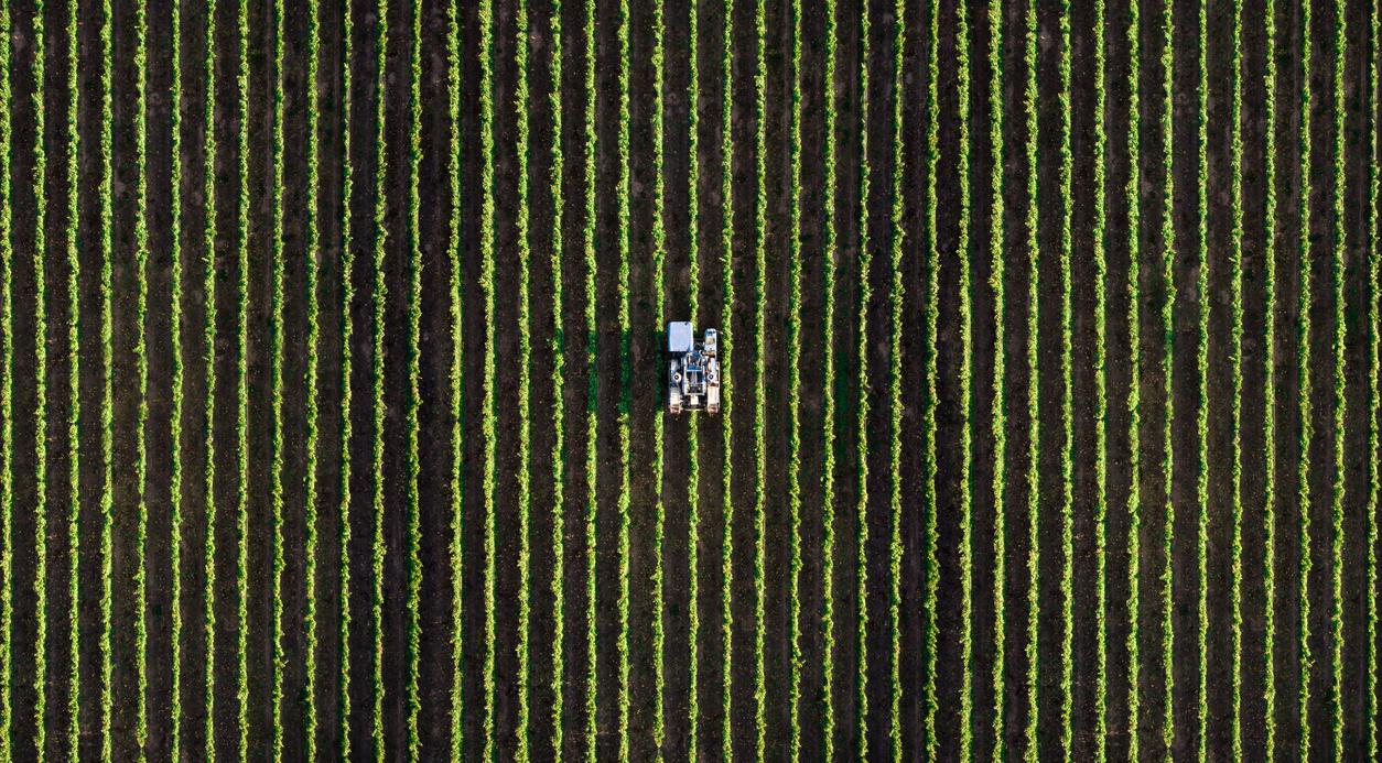 Agricultural harvesting.