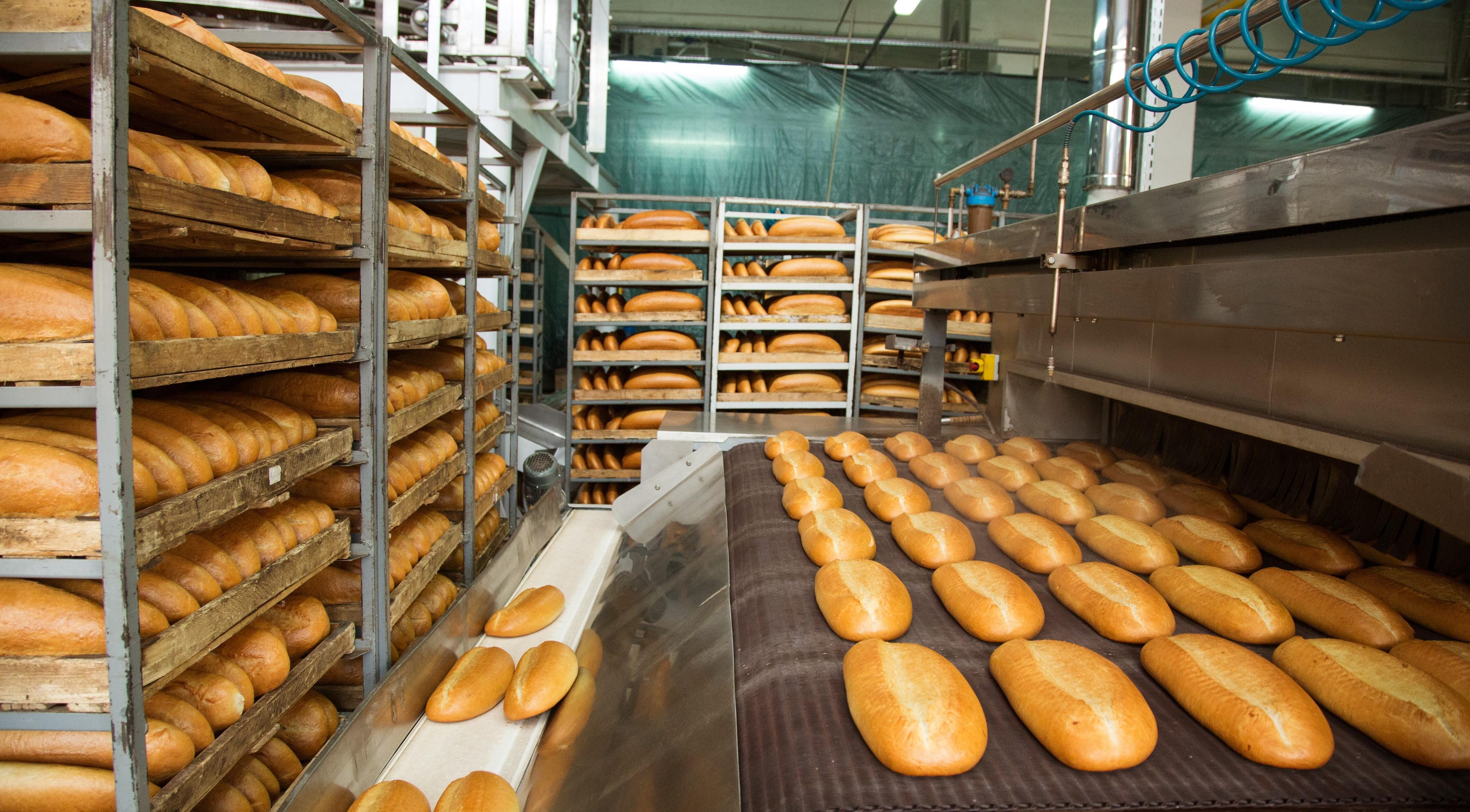 Bread in factory