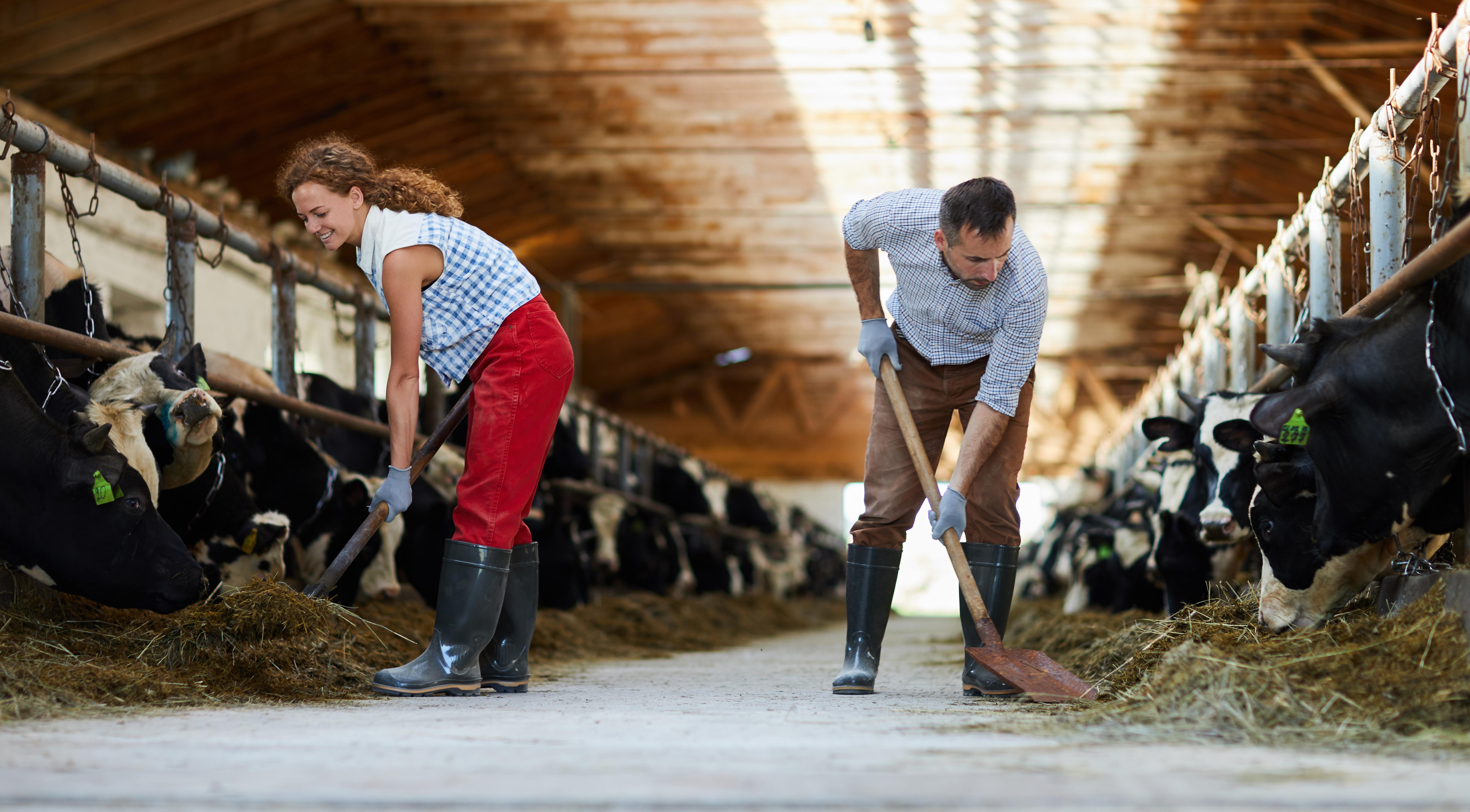 Pictures Of Farm Girls