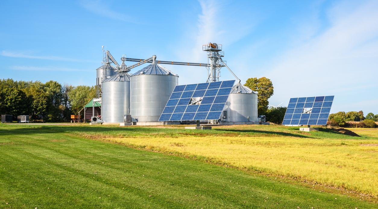 Solar Panels for Electricity Generation on a Farm on an Autumn Day.