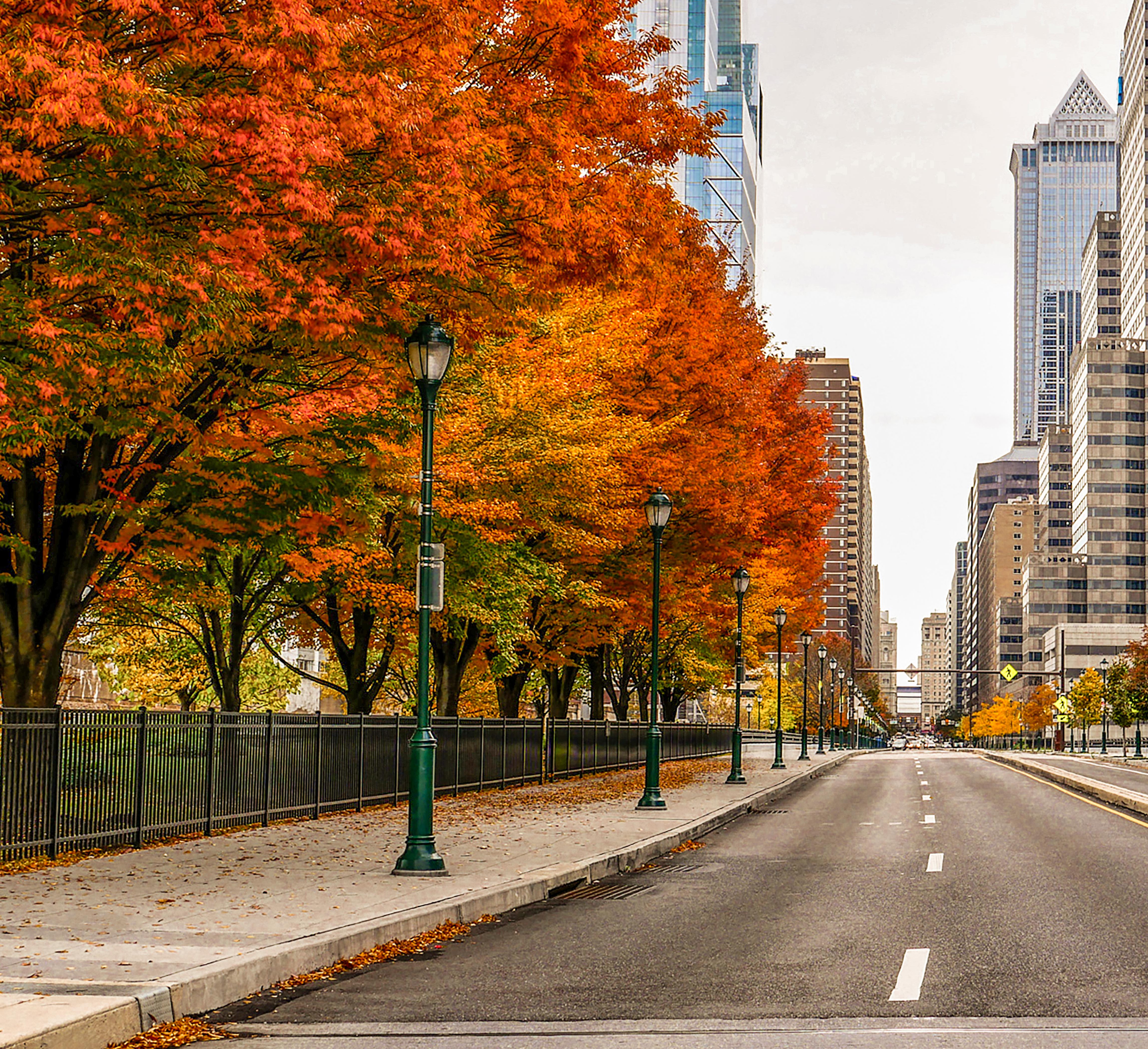 Road with City view with autumn colored trees.