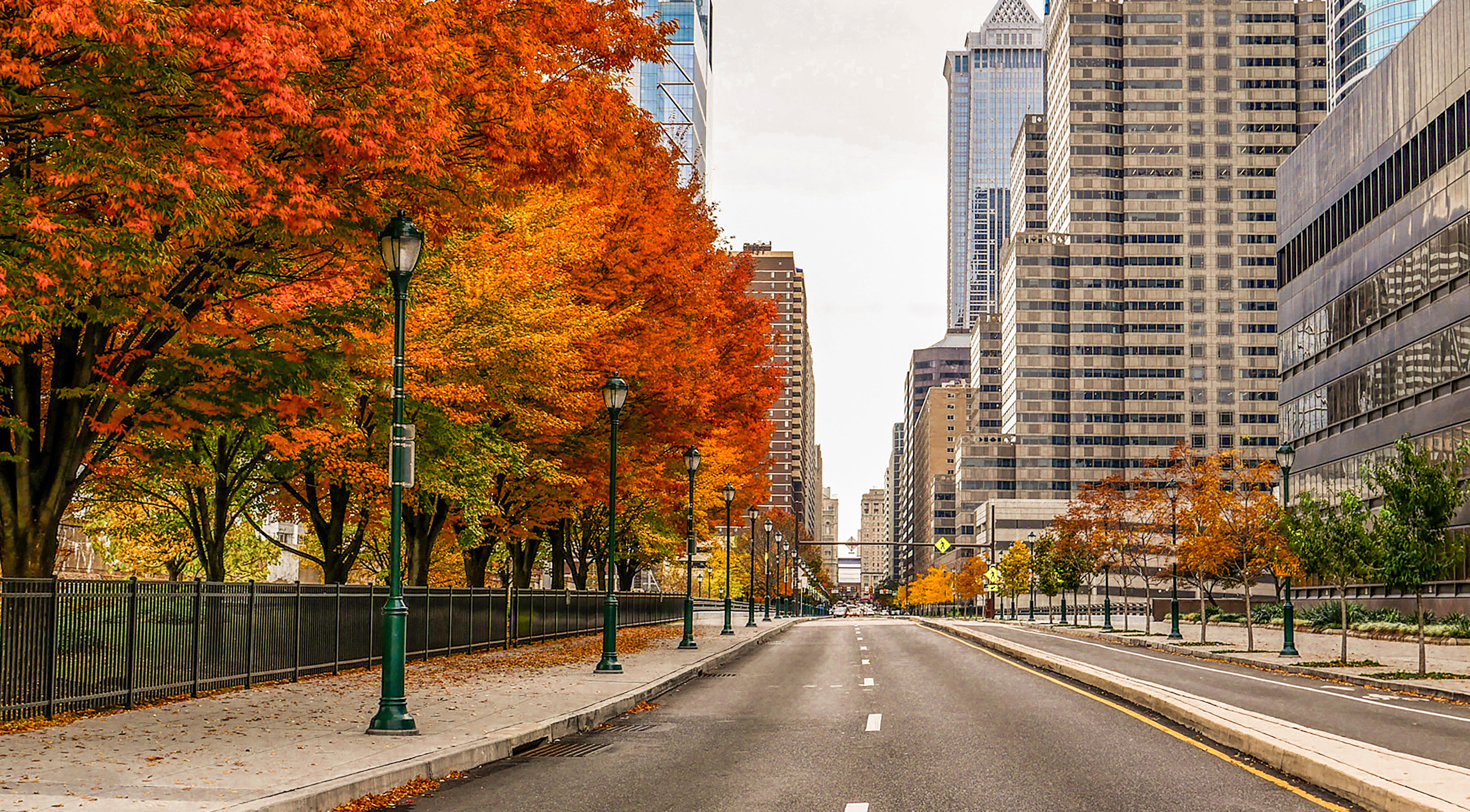 Road with City view with autumn colored trees..