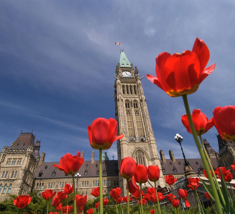 Canada Parliment Buildings