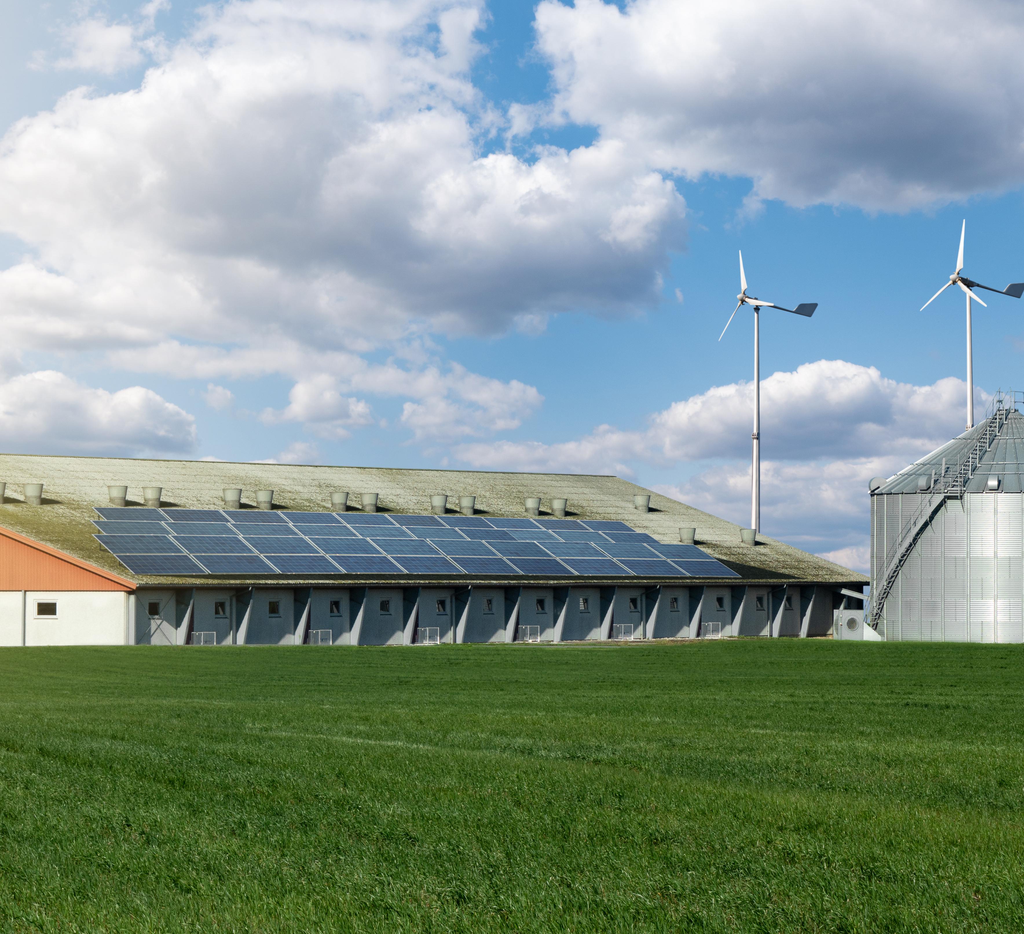 Modern dairy farm using renewable energy