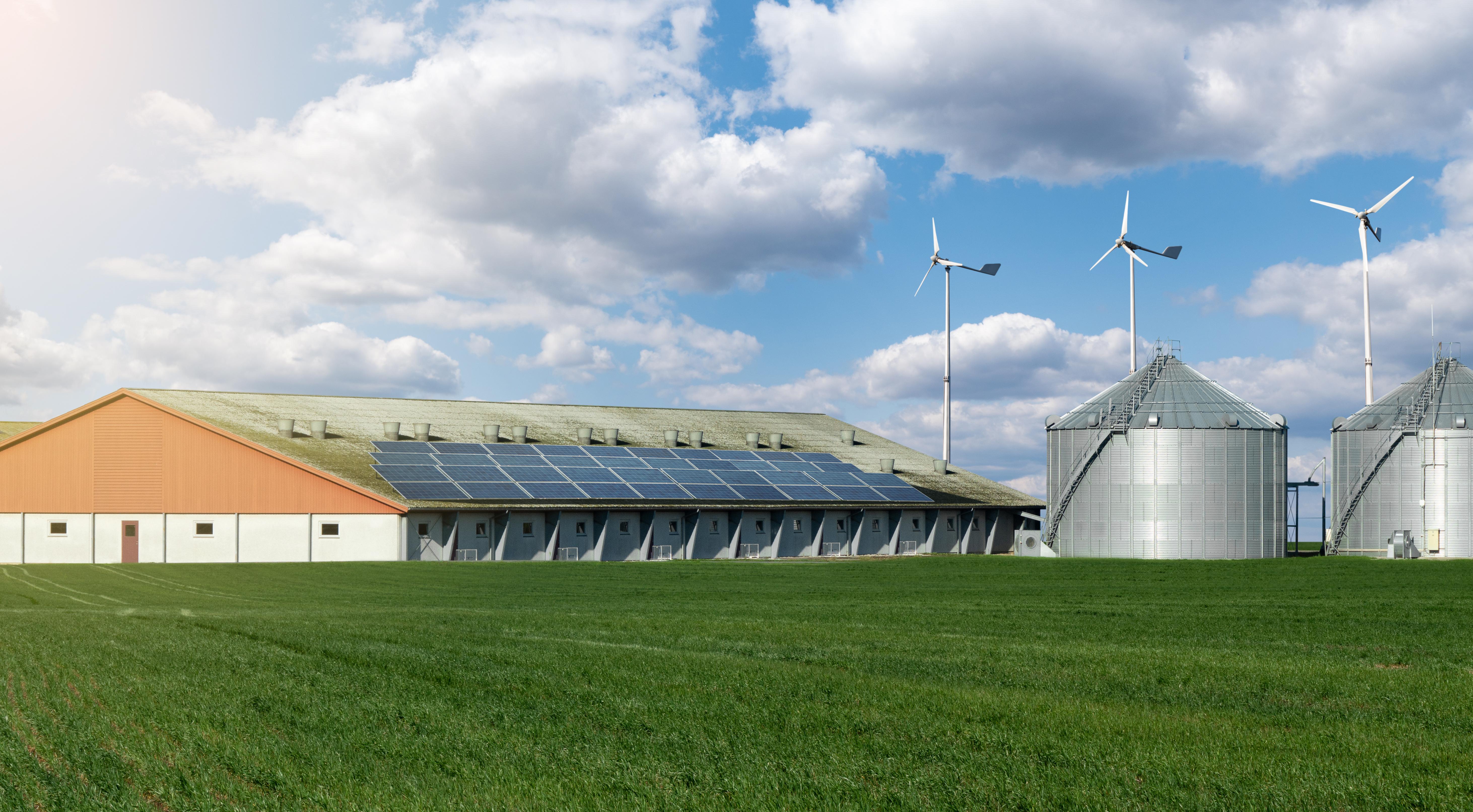 Modern dairy farm using renewable energy.