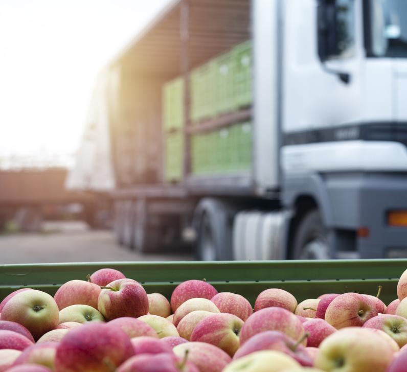 apples being shipped