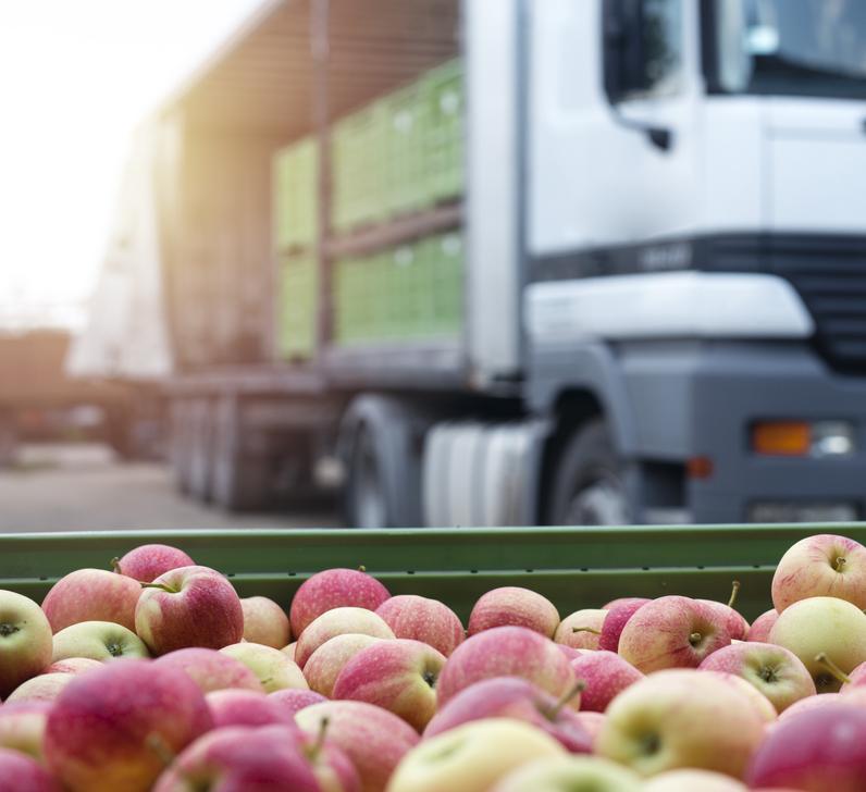 apples being shipped