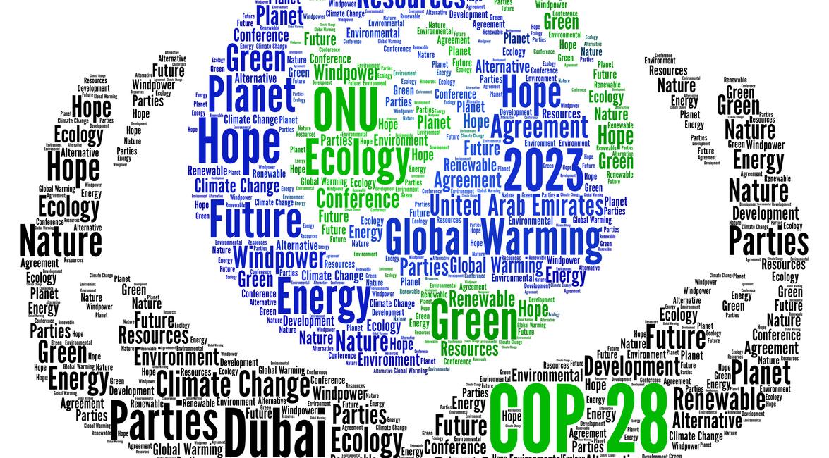 COP28 icon