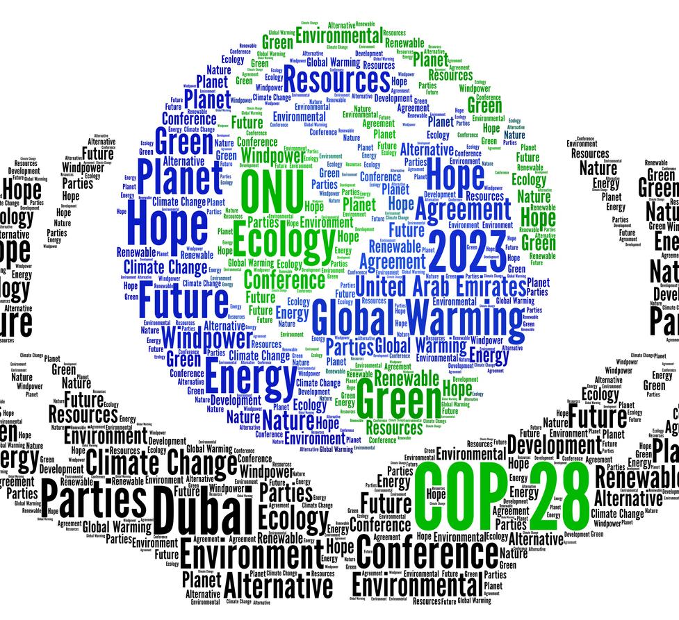 COP28 icon