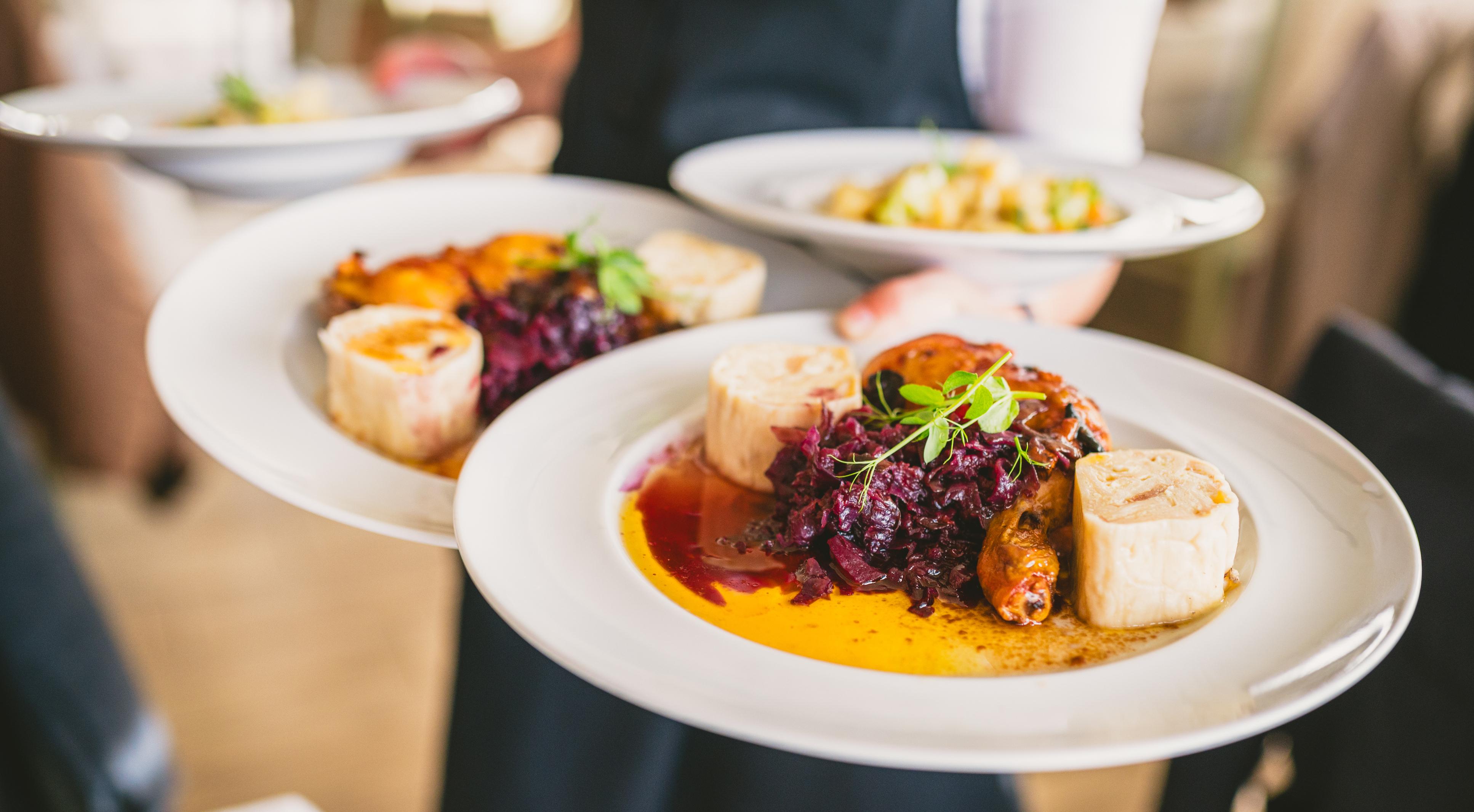Waiter carrying multiple plates with red cabbage and chicken dish.
