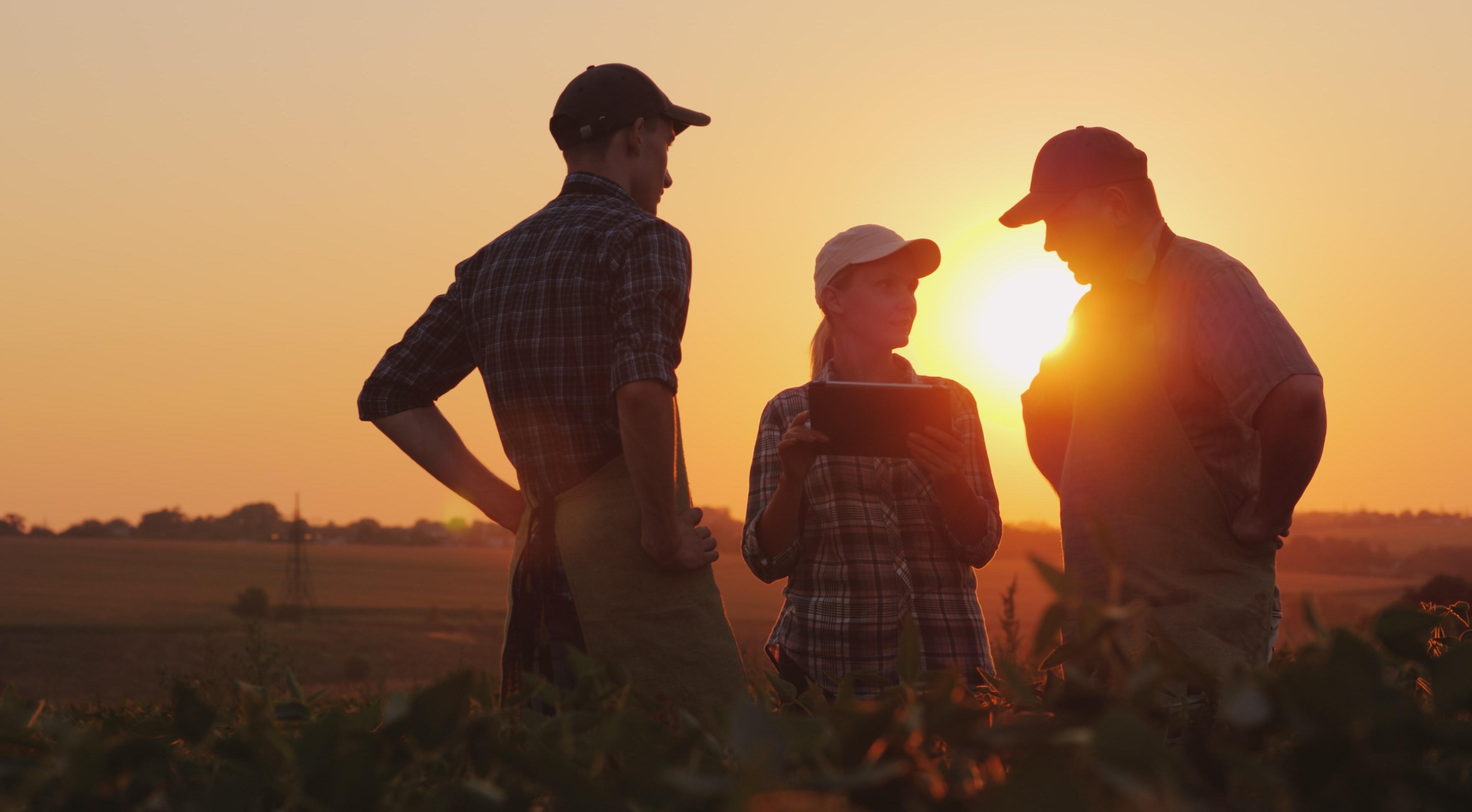 A group of farmers in a field.