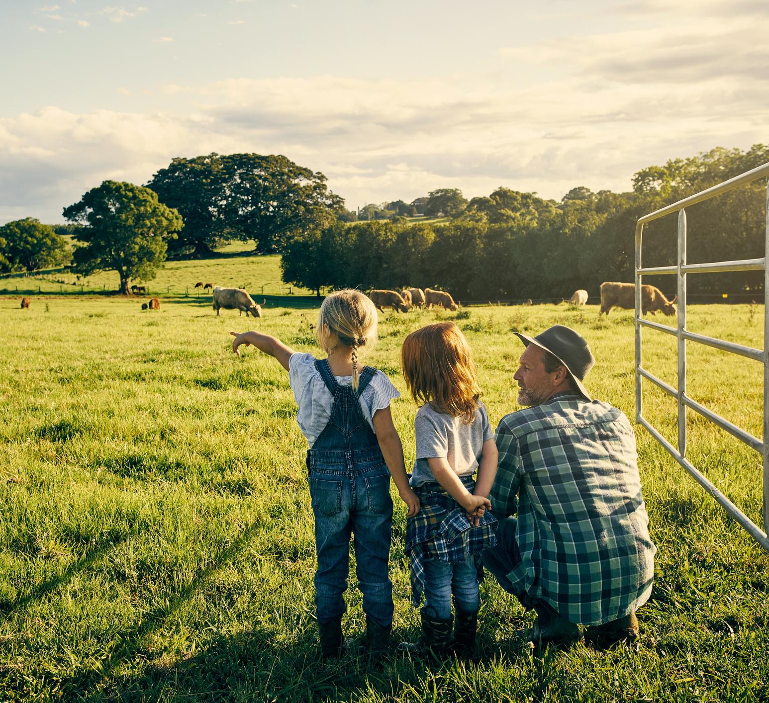 family looking at cows on a ranch