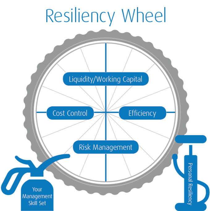 Resiliency Wheel--read article for context