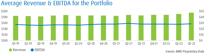 Average Revenue & EBITDA for the portfolio